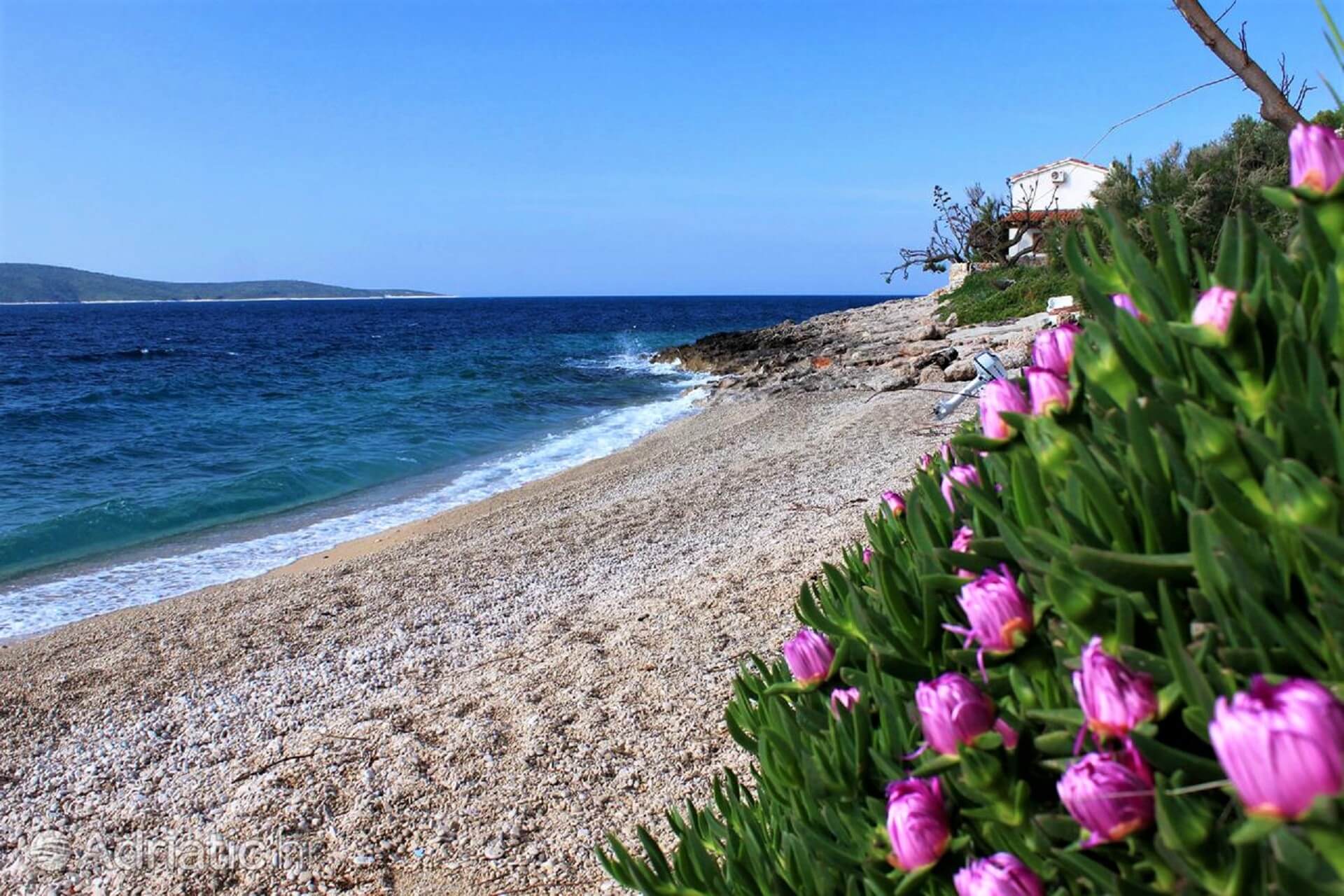 Apartments Bogović Zavala, island of Hvar, Croatia
